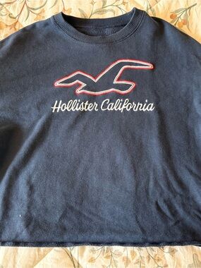 Hollister Navy Sweatshirt with White Script and Red-Outlined Logo